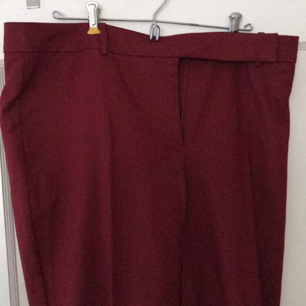 Ann Taylor signature pants